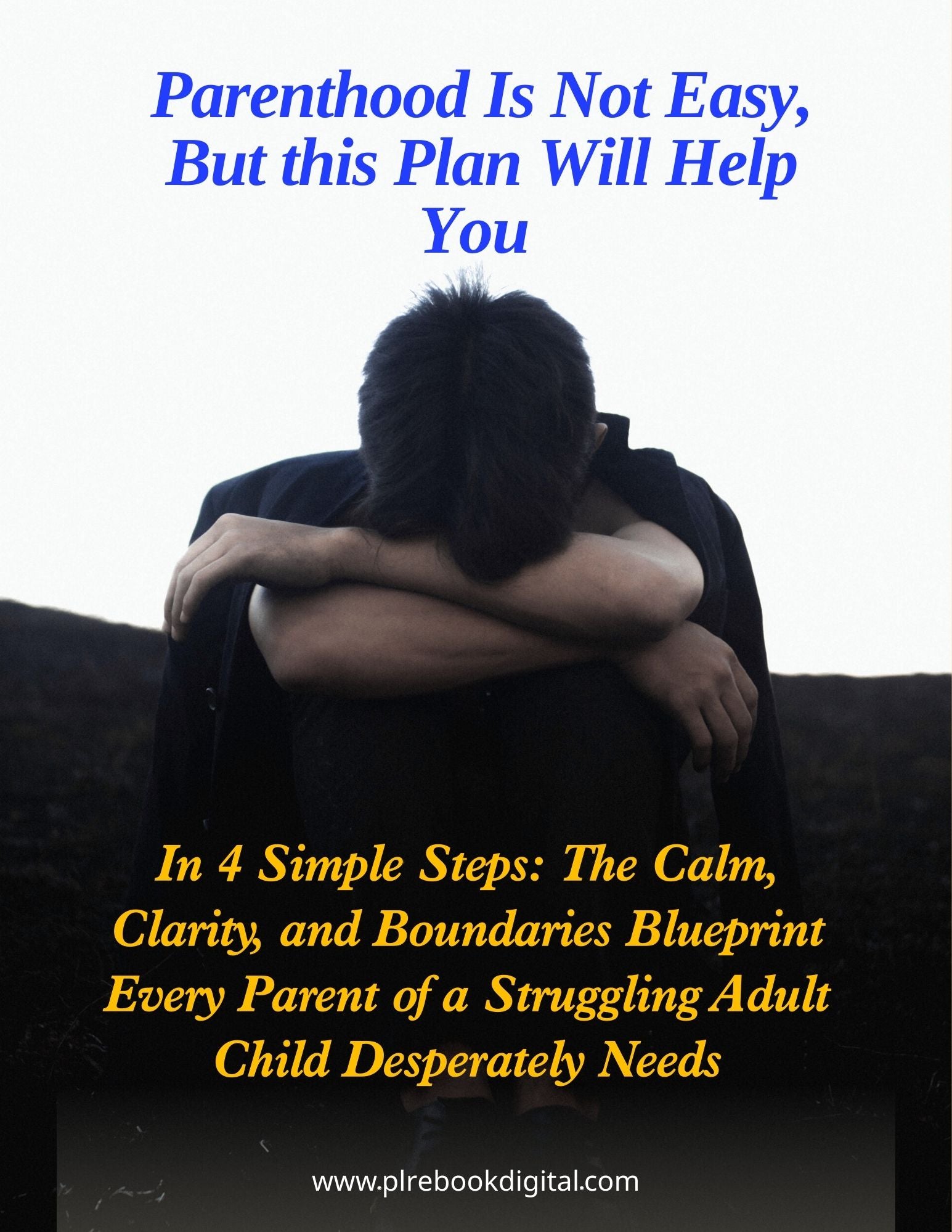 In 4 Simple Steps: The Calm, Clarity, and Boundaries Blueprint Every Parent of a Struggling Adult Child Desperately Needs